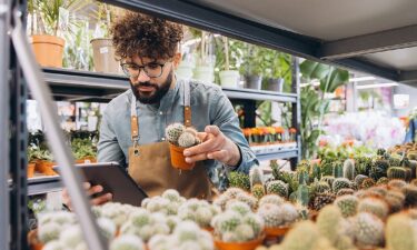 Getting AI-driven business intelligence to do real work for your retail store